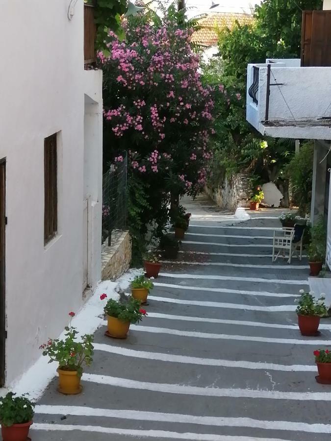 Mary&Nick Apartment Limenaria  Dış mekan fotoğraf